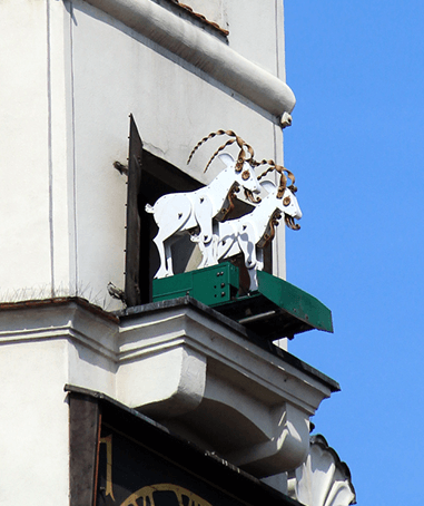 Koziołki Poznańskie [Poznań Goats]